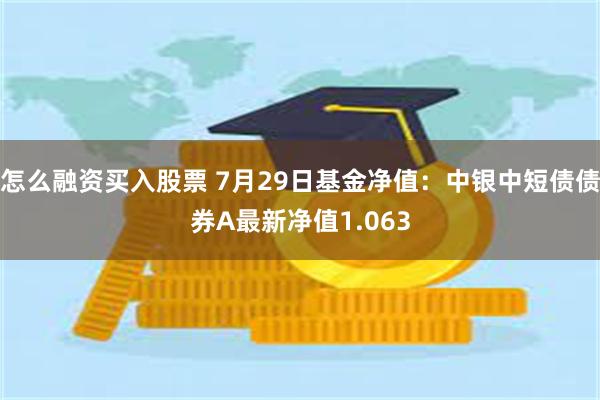 怎么融资买入股票 7月29日基金净值：中银中短债债券A最新净值1.063