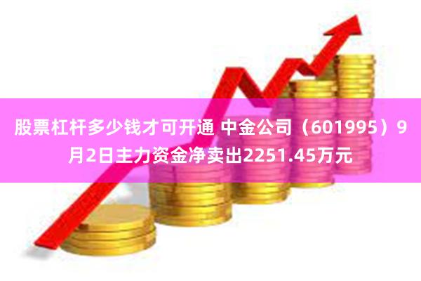 股票杠杆多少钱才可开通 中金公司（601995）9月2日主力资金净卖出2251.45万元