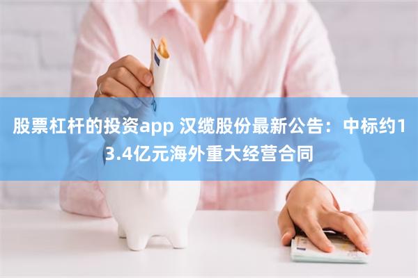 股票杠杆的投资app 汉缆股份最新公告：中标约13.4亿元海外重大经营合同