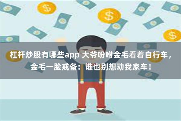 杠杆炒股有哪些app 大爷吩咐金毛看着自行车，金毛一脸戒备：谁也别想动我家车！