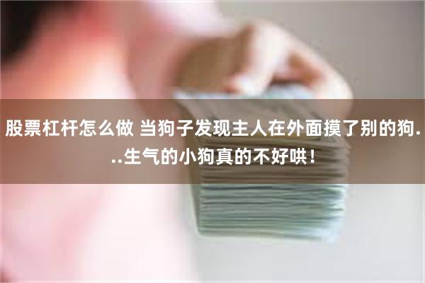 股票杠杆怎么做 当狗子发现主人在外面摸了别的狗...生气的小狗真的不好哄！