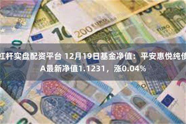 杠杆实盘配资平台 12月19日基金净值：平安惠悦纯债A最新净值1.1231，涨0.04%