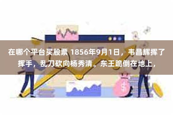 在哪个平台买股票 1856年9月1日，韦昌辉挥了挥手，乱刀砍向杨秀清。东王跪倒在地上，